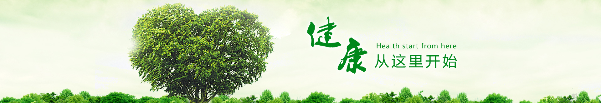 幻燈元旦